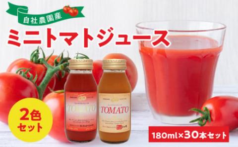 自社農園産180ml×30本 ミニトマト2色セット サンチェリーミニトマト・オレンジキャロルミニトマト×各15本_Y018-0029　100％ 北海道産