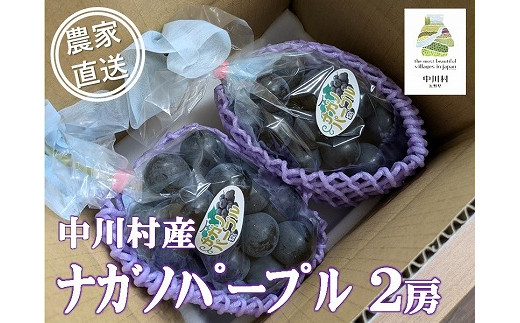 
                  農家直送】宮下ぶどう園のナガノパープル　約１Kg
                