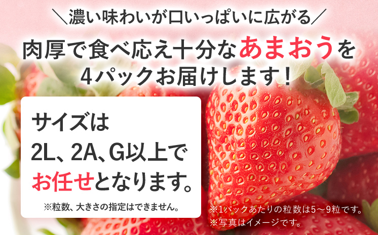 【2027年先行予約】春のあまおう(G規格以上約250‐270g x 4パック) お取り寄せグルメ お取り寄せ 福岡 お土産 九州 福岡土産 取り寄せ グルメ 福岡県