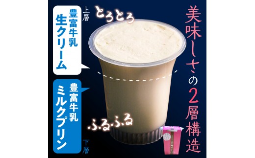 【配送時期指定なし】湯あがり温泉プリン 6種類 各120g×2個 計12個
