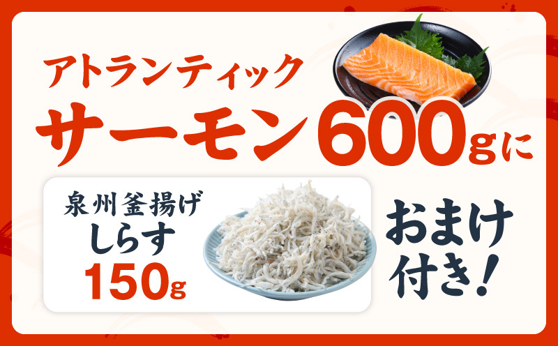 アトランティックサーモン 600g+おまけしらす150g【小分け ポーション 柵切 しらす シラス sirasu 刺身 魚介 海鮮 さーもん 生食 お試し】 G3805_イメージ2