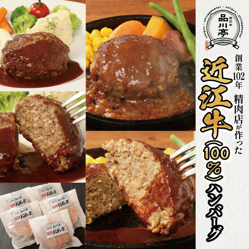 【ふるさと納税】近江牛ハンバーグ詰合わせ 5個 品川亭 [ST004] / 近江牛 ハンバーグ 牛肉 肉 惣菜 おかず 惣菜 セット 詰め合わせ 送料無料 お弁当 冷凍食品