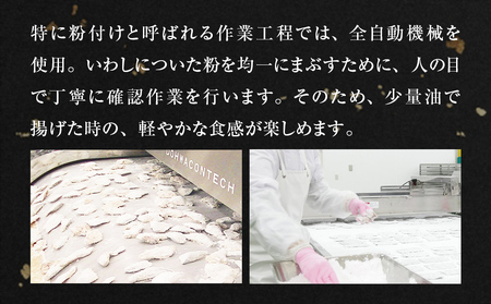 いわし竜田 1kg 冷凍 イワシ 鰯 唐揚げ 醤油味 おかず おつまみ ご飯のお供 美味しい 簡単調理