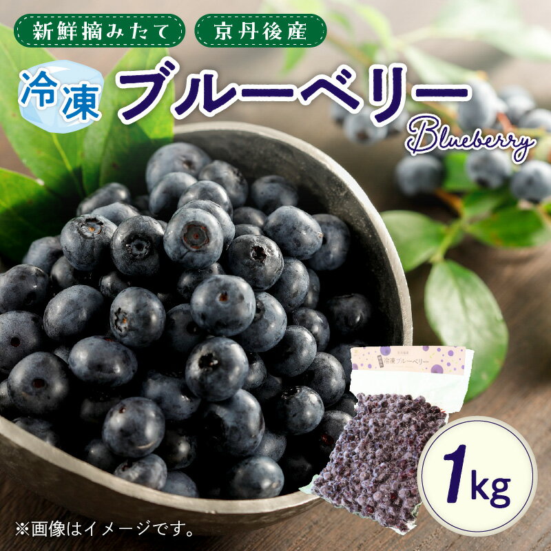【ふるさと納税】高評価★4.5 高レビュー★ 美味しさそのまま摘みたてをハイブリッド冷凍 京丹後産冷凍ブルーベリー1kg/北畿水産 果物 フルーツ スイーツ ぶるーべりー ふるさと納税 フルーツ ふるさと納税 果物 生産者応援 農家応援 送料無料 国産