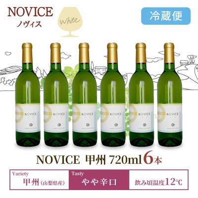 ふるさと納税 笛吹市 白ワイン NOVICEノヴィス 甲州 720ml×6本 フルボトル 日川中央葡萄酒 山梨県 笛吹市 |  | 02