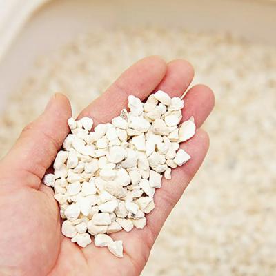 ふるさと納税 邑楽町 ネコのトイレ砂 5kg(約7L)×2袋 株式会社チャーム charm|09_chm-dq0201 |  | 03