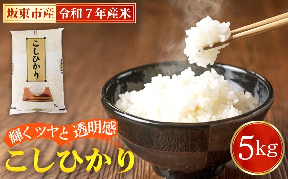 
            令和7年産　こしひかり5kg【坂東市産】 ／ 令和7年 新米 米 お米 こめ コメ 精米 白米 ご飯 国産米 5kg 5キロ コシヒカリ こしひかり 甘み 粘り 香り ツヤ おすすめ 人気 おいしい お取り寄せ 産地直送 産直 坂東市産 茨城県産 茨城産 茨城県 特産品 No.848
          