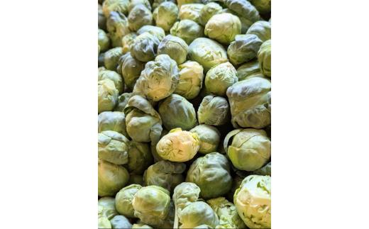 双葉農園の真冬の”芽キャベツ”（2,000g）from　名水の里　秦野　017-18-1
