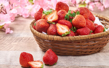 【2026年2月上旬より発送】福岡産【春】あまおう4パック 桂川町/南国フルーツ株式会社[ADBW008]あまおう 博多 福岡