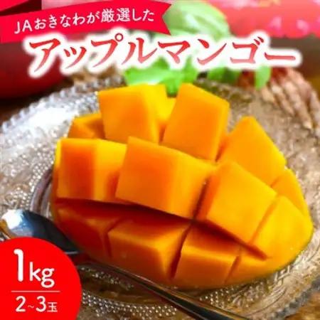 【2027年7月から順次発送・化粧箱】JAおきなわが厳選したアップルマンゴー1kg(2～3玉)【配送不可地域：離島】【1681767】