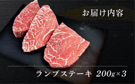 飛騨牛ランプステーキ　200g×3 【70-27】