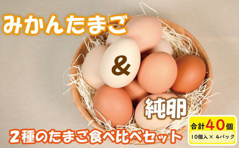 
【月指定可】みかんたまご と 純卵-じゅんたまご 2種の卵食べ比べセット 計40個(10個×4パック) ※割れ保証5個 (卵 たまご タマゴ 玉子 卵料理 卵かけごはん TKG エッグ egg 松山 愛媛県 )
