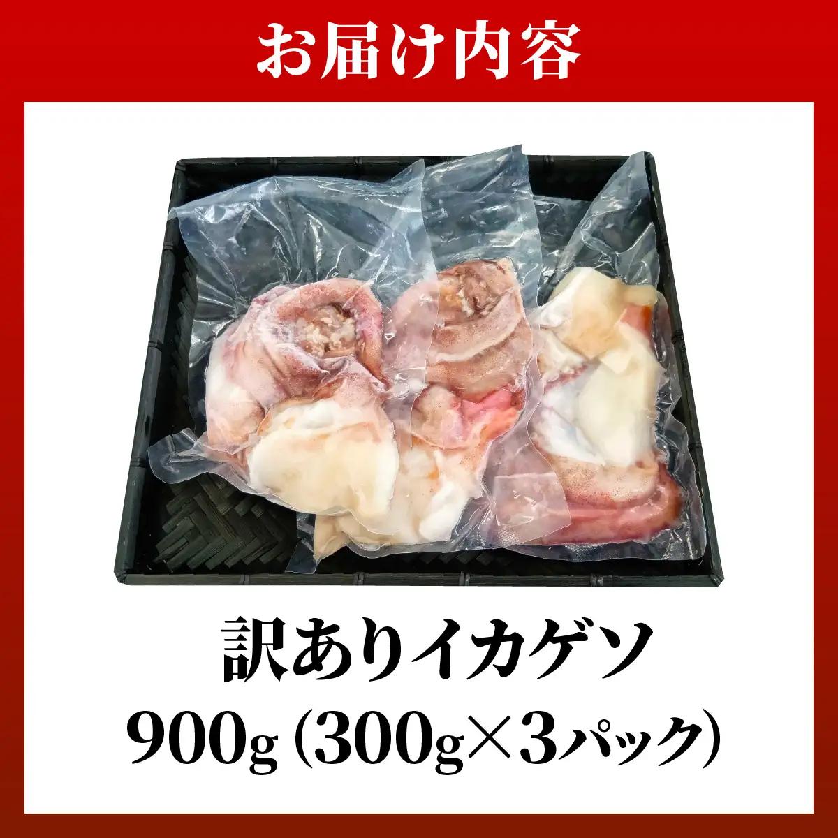 セーイカ げそ 300g×3パック 加熱用 石垣島産 ＜訳あり＞ 