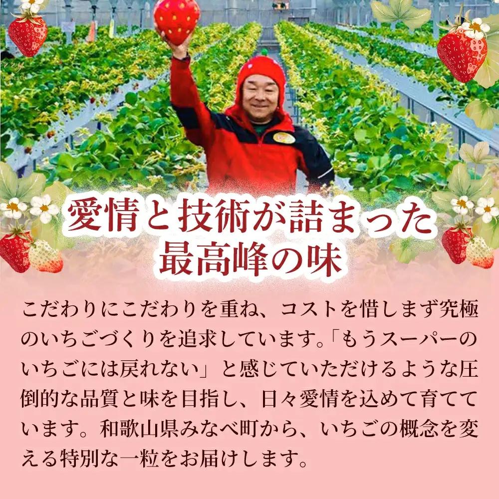 【体験】 【開催期間 2027年1月1日～5月7日】 いちご狩り体験チケット ( 1名様分) 【maato001B】