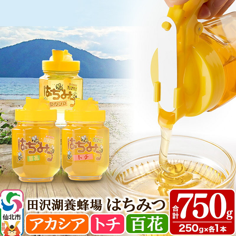 【ふるさと納税】秋田県産はちみつ（アカシア・トチ・百花）250g×各1本 合計750g 化粧箱入り 詰め合わせセット 田沢湖養蜂場 [蜂蜜 はちみつ ハチミツ 国産 アカシア アカシヤ]