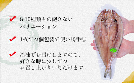 【ふるなびWEEK対象】特選干物セット 8-10種16枚 干物