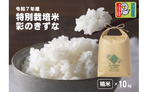 【令和7年産】埼玉県比企郡吉見町産 特別栽培米 彩のきずな【精米】10kg