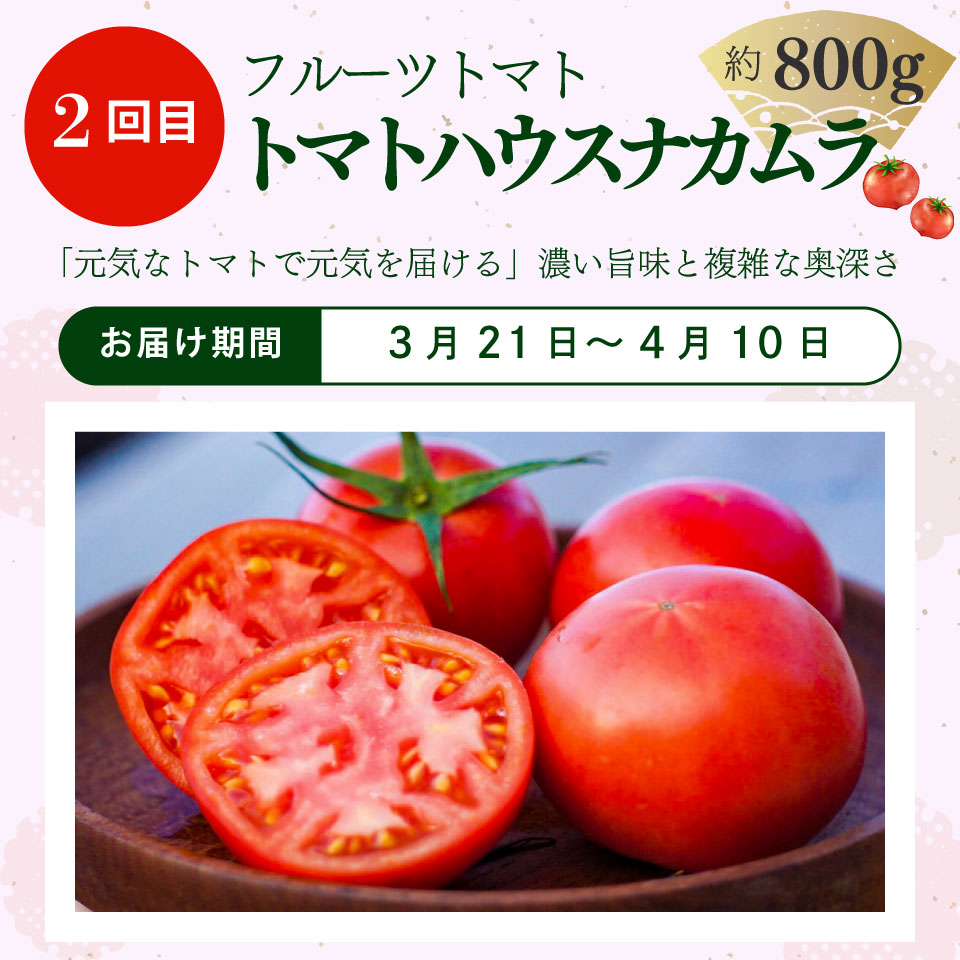 ＜フルーツトマト 計４回 定期便＞ ４農家からリレーでお届け