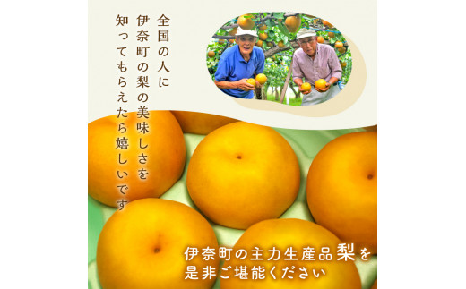 【2026年産先行予約】 \人気No.1/ 伊奈町産 梨『幸水』5kg  みずみずしい 甘い ジューシー 和梨 なし ナシ 果物 フルーツ 埼玉県