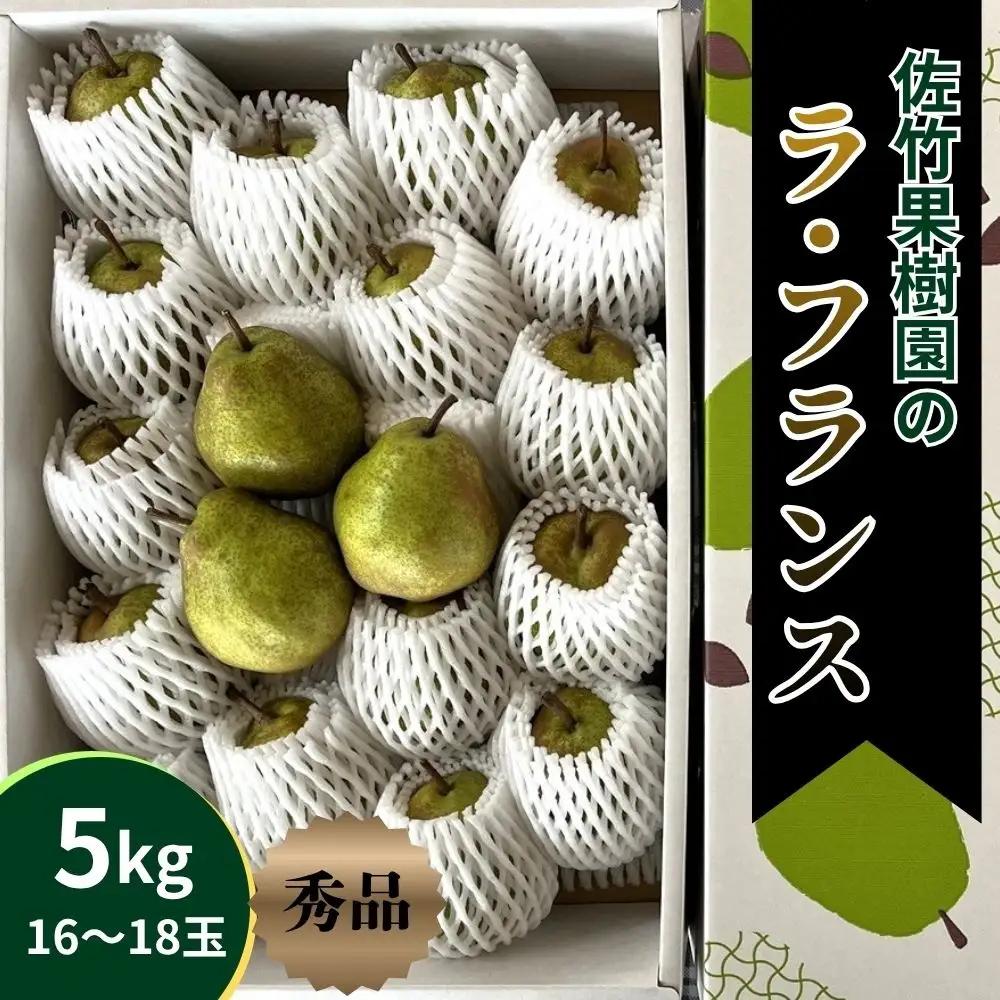 西洋梨（ラ・フランス）５ｋｇ　0041-2604