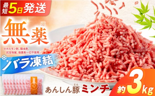 《バラ凍結》ミンチ 約 3kg（380g×8袋）岐阜県産 豚肉 豚 ミンチ 豚ひき肉 豚挽き肉 あんしん豚 白川町 / 藤井ファーム [AWAF034]
