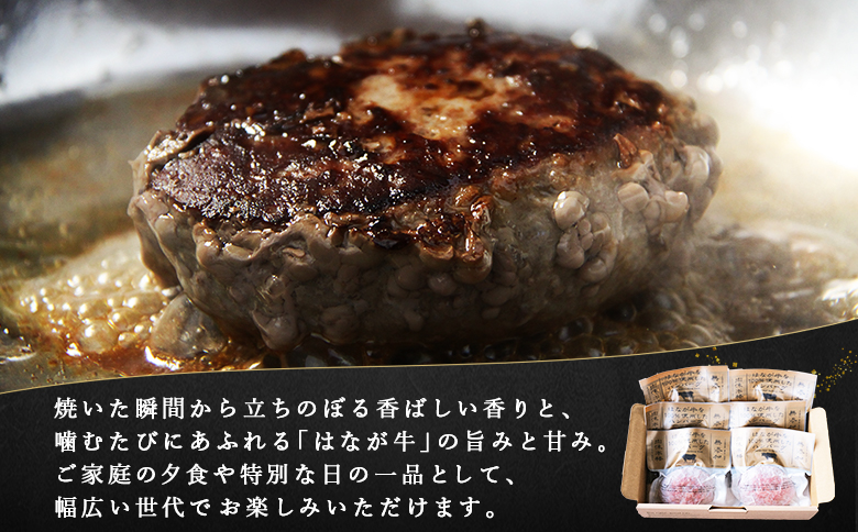 ＜熟成肉 はなが牛ハンバーグ 150g×6個 計900g＞ お肉 牛肉 ビーフ 牛100％ 肉加工品 お惣菜 洋食 おかず おつまみ お弁当 ランチ ディナー 国産 小分け 個包装 簡単調理 特産品 ゆうぼく 愛媛県 西予市