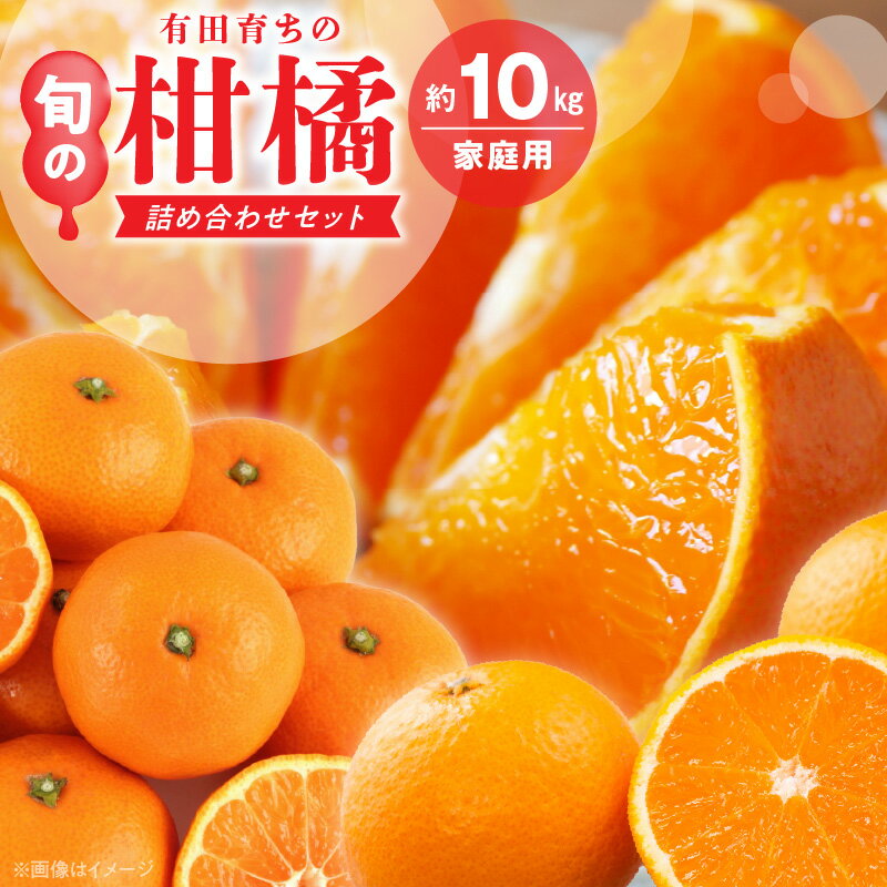 【ふるさと納税】【限定】 【2026年先行予約】 旬の美味 みかん名産地和歌山有田 有田育ちの ご家庭用 旬の柑橘 詰め合わせセット 10kg 訳あり
