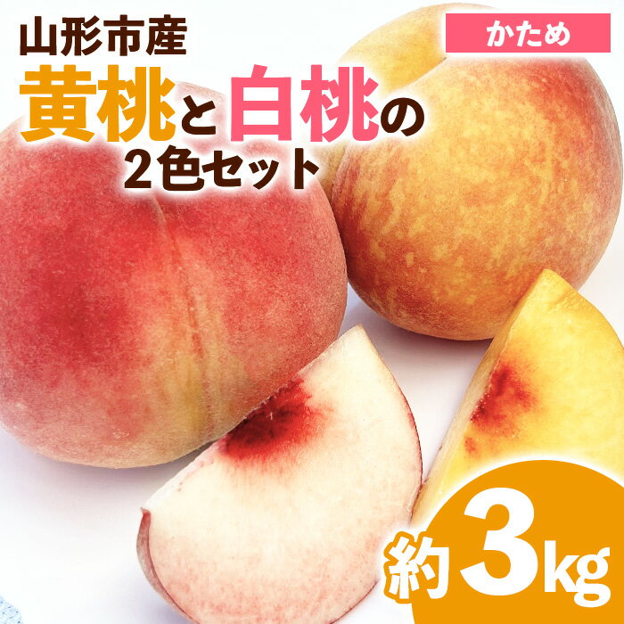 【ふるさと納税】山形市産 黄桃と白桃の2色セット 秀 3kg(硬め） 【令和7年産先行予約】FS23-848くだもの 果物 フルーツ 山形 山形県 山形市 お取り寄せ 2025年産