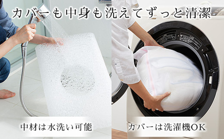 【3営業日以内に発送】＼NEW ふるさと納税限定枕／エアウィーヴ コンフォートピロー C2 ｴｱｳｨｰｳﾞ 枕