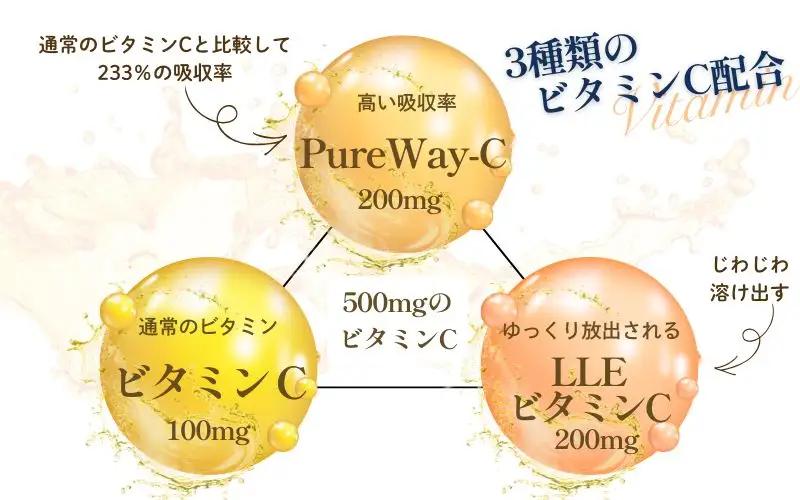 ビタミンCサプリメント120日分（60日分×2袋） 甘味料不使用 保存料無添加 ／ ビタミンC 美容 カプセル 健康 健康食品 サプリ サプリメント 吸収率 濃縮【cgiy0007】