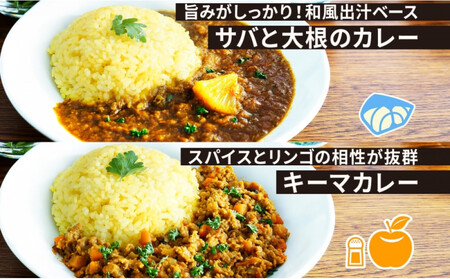 《無地熨斗》 コーノスパイス スパイスカレー3種セット チキンカレー サバと大根のカレー キーマカレー 各200gパック 小麦粉不使用 グルテンフリー CONO SPICE コーノコーラ 愛知県 名古