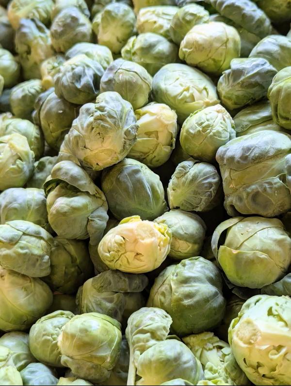 
            双葉農園の真冬の”芽キャベツ”（2,000g）from　名水の里　秦野　017-18-1 
          