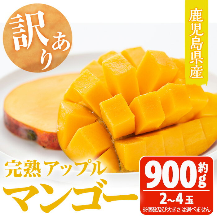 【ふるさと納税】＜先行予約受付中・2026年6月下旬～7月下旬頃に発送予定＞＜訳あり・数量限定＞ 完熟アップルマンゴー「紅」(約900g・850〜950g) マンゴー アップルマンゴー 旬 果物 フルーツ 紅 くだもの 中玉 小玉 1箱 2～4個 家庭用 宮崎県境【大徳産業】