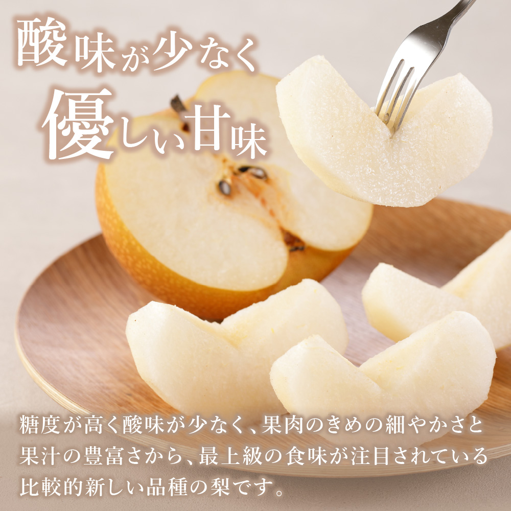 【2025年産先行予約】伊万里梨「あきづき」 約5kg B165