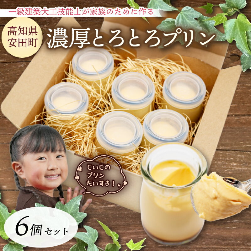 【ふるさと納税】 濃厚とろとろプリン 6個 セット 1級建築大工技能士 が作る 希少糖 アルロース 贈り物 おやつ お土産 土産 手土産 プレゼント ティータイム コーヒー 紅茶 日本茶 お茶請け 高知県 安田町