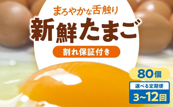 
            卵 定期便【選べるお届け回数】卵 平飼い 海草たまご 8パック（80個入り）割れ保証あり 愛媛県大洲市/和田養鶏場 卵 定期便 たまご 卵 鶏卵 たまご 玉子 タマゴ エッグ 生卵 国産 卵焼き 卵料理 卵かけご飯 たまごかけご飯 温泉卵 ゆでたまご 朝食 夕食 夜ご飯 おかず 栄養満点 割れ保証 [AGDQ011]
          