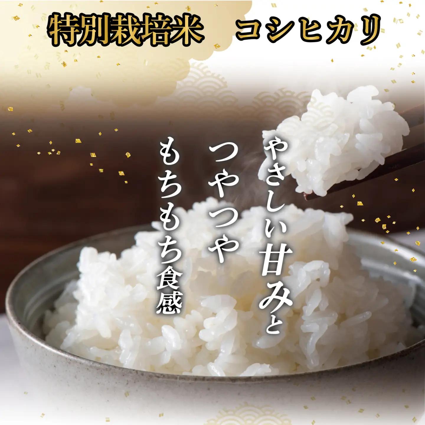 【新米予約】皇室新嘗献穀米 「金崎さんちのお米」 10㎏ 