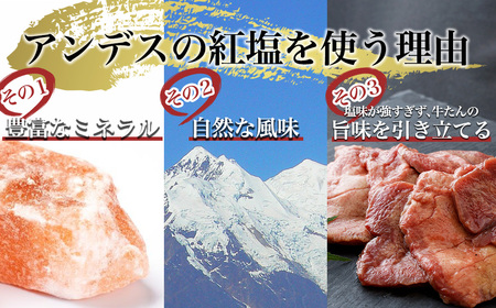 牛タン　仙台名物　厚切り牛タン400g(200g×2 塩味) 　焼肉 BBQ 【04209-0004】