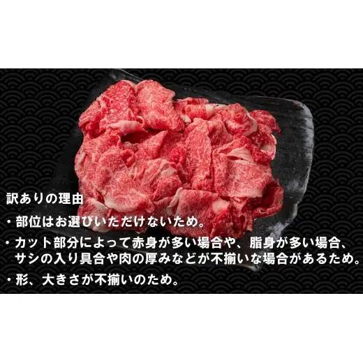 【訳あり】神戸牛 切り落とし肉 400g TKS1 [1202]
