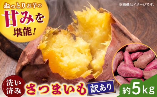 【先行予約】【2026年12月上旬より順次発送】【訳あり】さつまいも 約5kg(平均17本から30本)/ サツマイモ 芋 焼き芋 熊本県 菊陽町【株式会社さかもと農園】 [BHDL001]