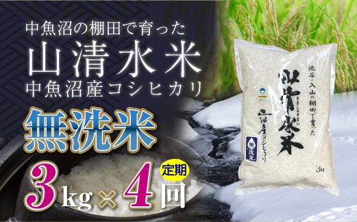 【定期便／全4回】無洗米3kg 新潟県魚沼産コシヒカリ「山清水米」 