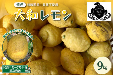 栽培期間中農薬不使用 大和レモン 9kg 新鮮 発送日に収穫 檸檬 レモン 果物 くだもの フルーツ ビタミンC 送料無料 広島県 呉市