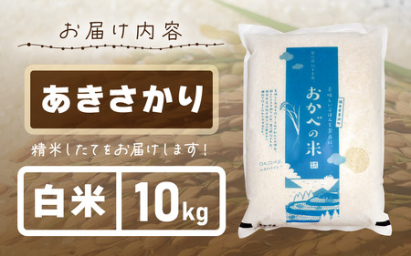 【先行予約】令和7年産 愛情たっぷり健やかに育った ピカピカ もちもち あきさかり（白米）10kg【2025年10月上旬以降順次発送予定】 [m29-a017] 
