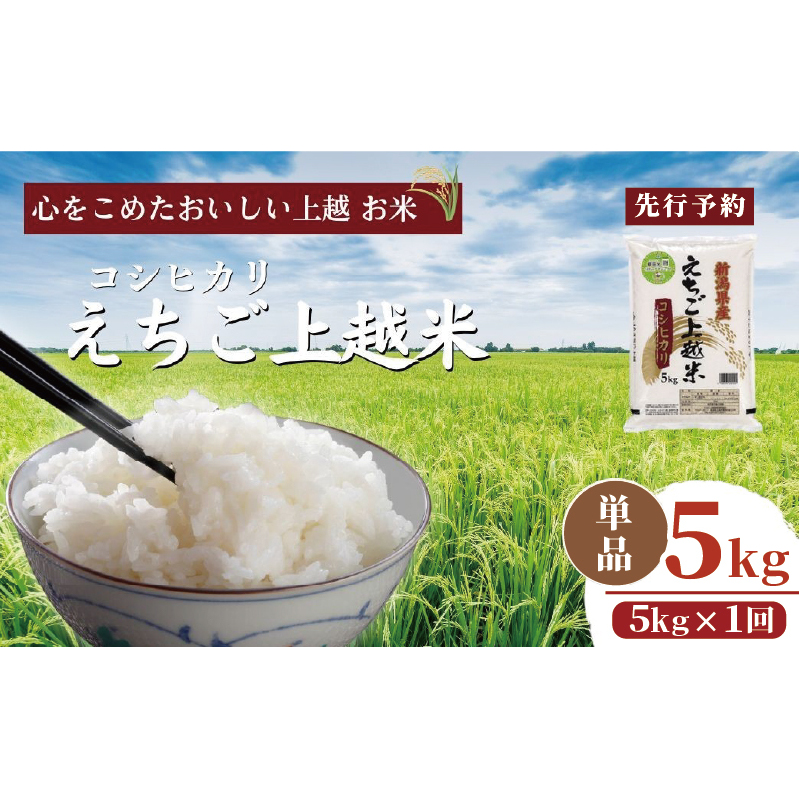【先行予約】令和7年 新米 新潟県産コシヒカリ えちご上越米 5kg 新潟 米 新潟県 こしひかり 限定 おすすめ