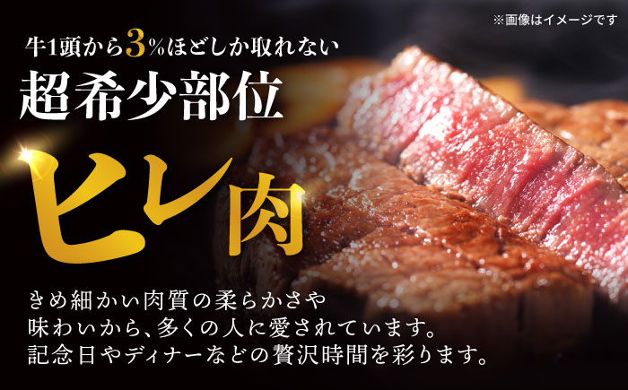 【6回定期便】 【一口で広がる贅沢な旨味！】長崎和牛 ヒレサイコロステーキ 400g / ヒレ ひれ ヒレステーキ ステーキ すてーき サイコロステーキ / 諫早市 / 野中精肉店 [AHCW107]