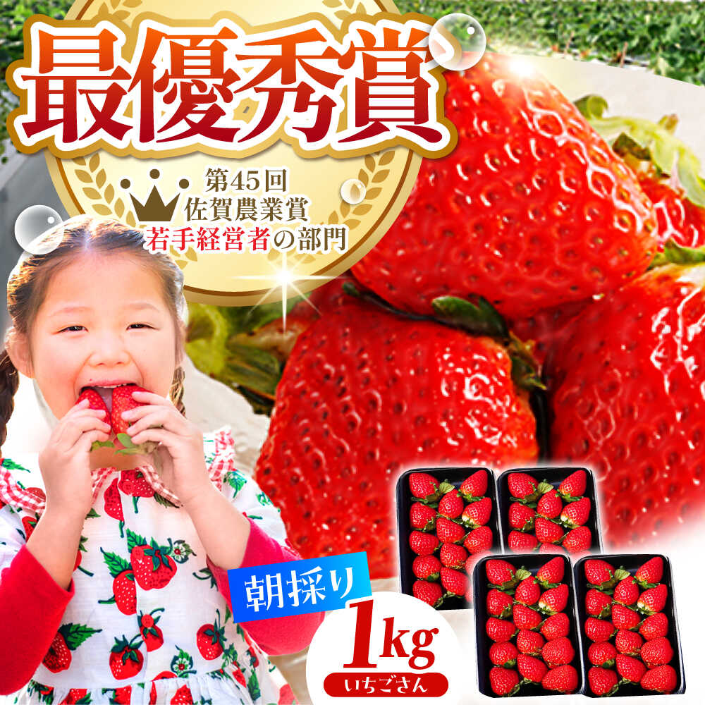 【ふるさと納税】【先行予約】【2〜4月発送】朝摘みいちご いちごさん 1kg（250g×4パック） いちご イチゴ 苺 | 佐賀県 江北町 |【むらおか農園】[HAF023]