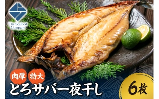 肉厚！特大とろサバ一夜干し　6枚セット