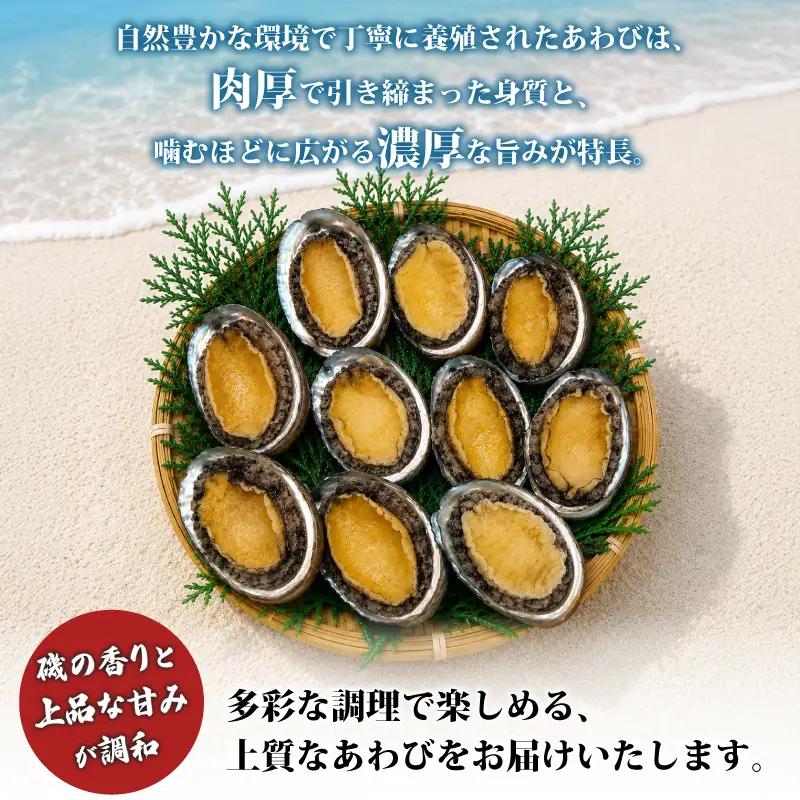 あわびセット （ あわび ＆ 艶煮 ） 計12枚 下関 山口 《さわ水産：SW》