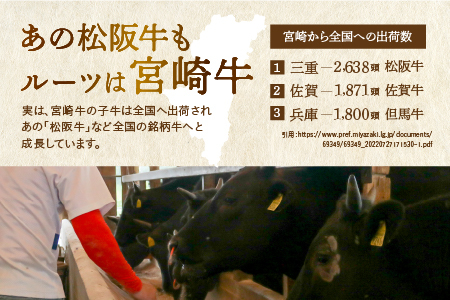宮崎牛 ウデ すき焼き 計800ｇ 牛肉 肉 国産 しゃぶしゃぶ すきしゃぶ スライス 小分け 赤身 ブランド牛 ギフト 贈り物 九州 宮崎（01-57）