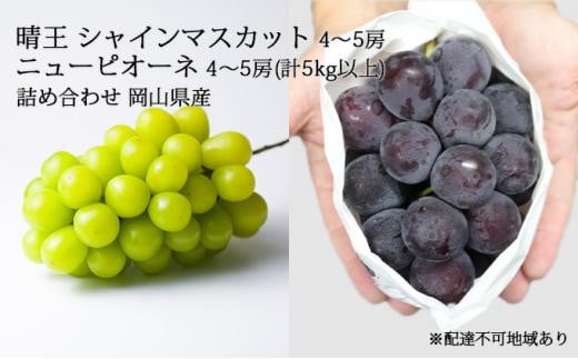 
ぶどう［2024年先行予約］晴王 シャインマスカット 4～5房＆ニューピオーネ 4～5房（計5kg以上） 詰め合わせ 岡山県産 [No.5220-1199]
